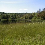 Vacant Land for Sale in Michigan