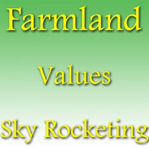 High Farm Values
