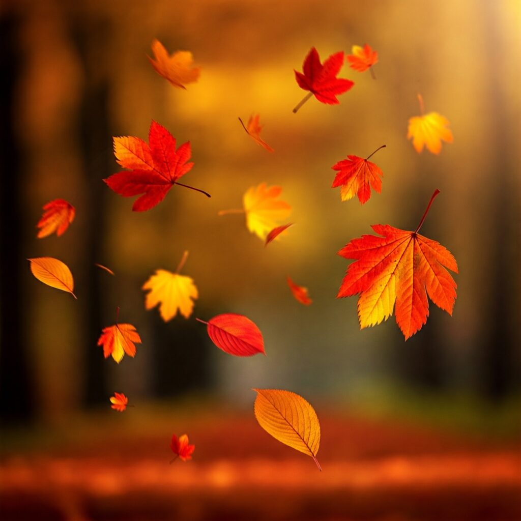 Fall Home Maintenance Checklist